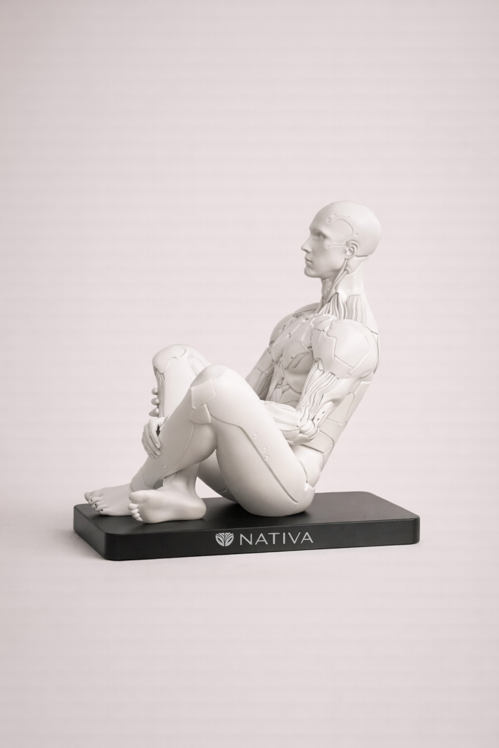 Scultura anatomica in 3D